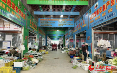 <b>给“菜篮子”贴上“安心码”</b>