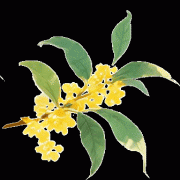 远方好物：3年GMV破30亿！健康食物赛道的供应链